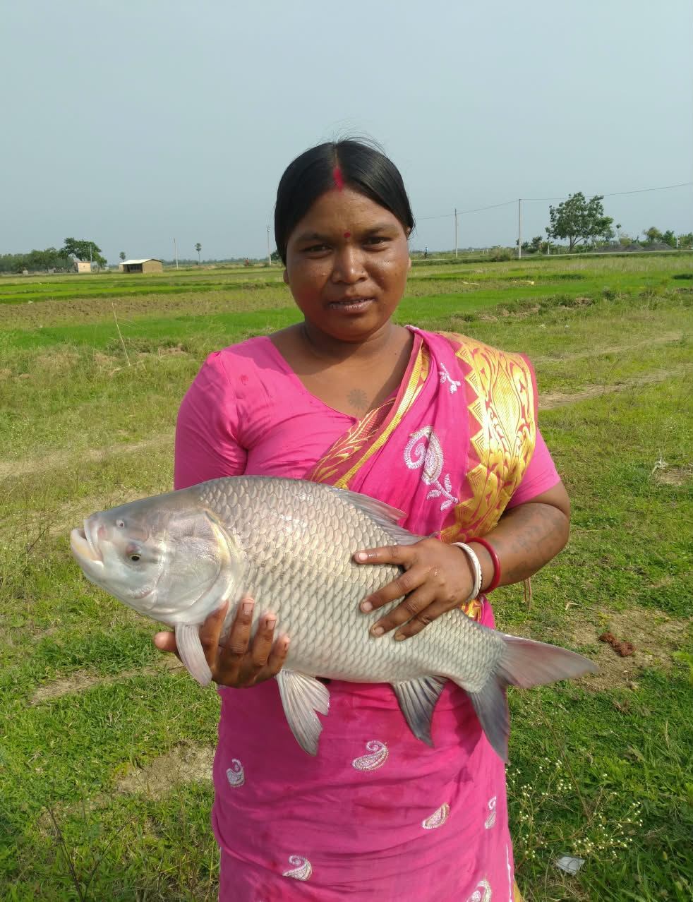 Poorbita Krishi activity in the field