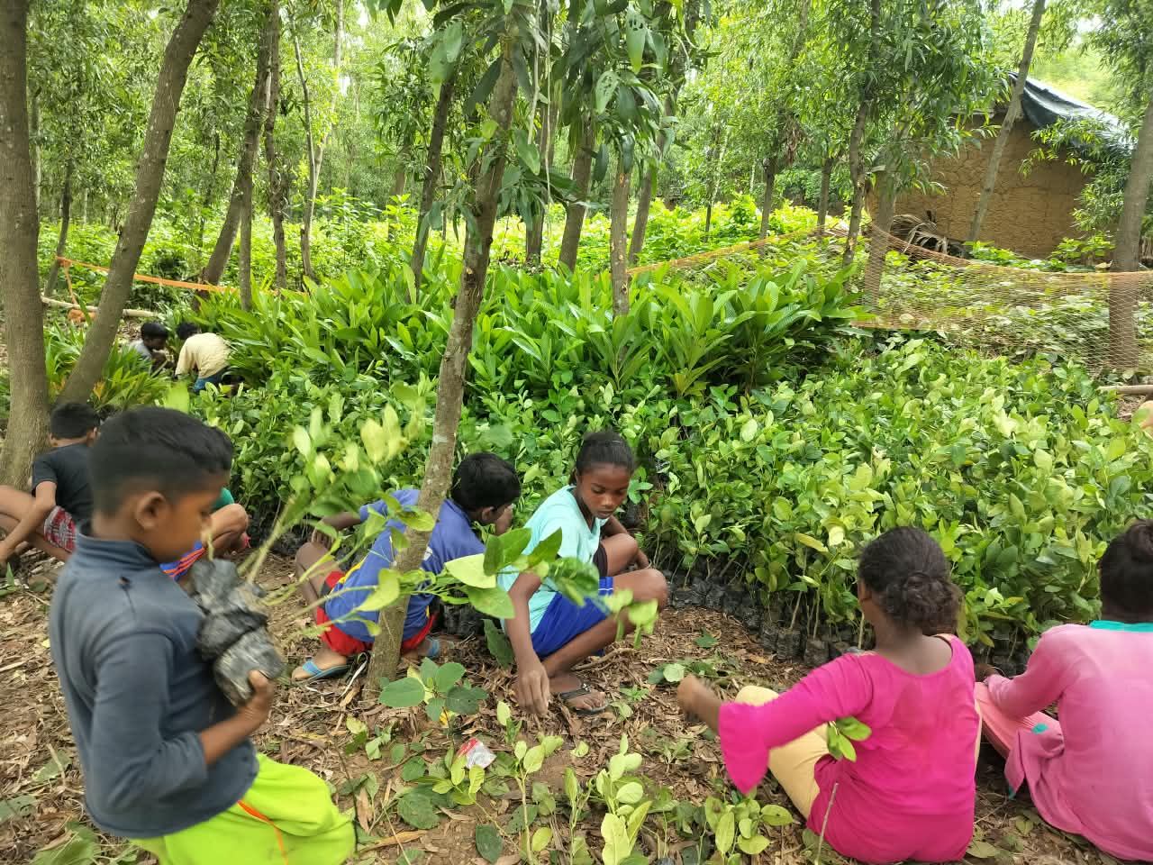 Poorbita Krishi activity in the field